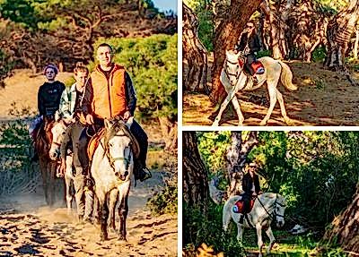 Belek Horse Riding