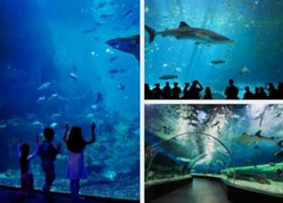 Kemer Antalya Aquarium