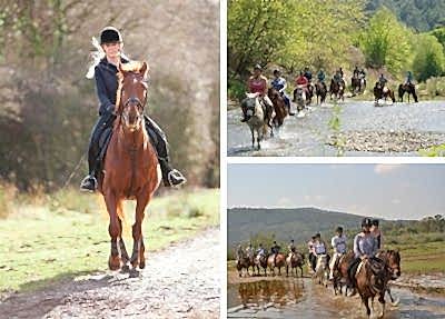 Kemer Horse Safari