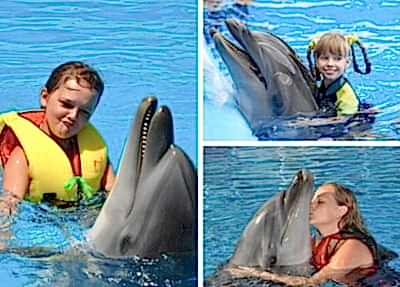 Manavgat Swimming with Dolphins